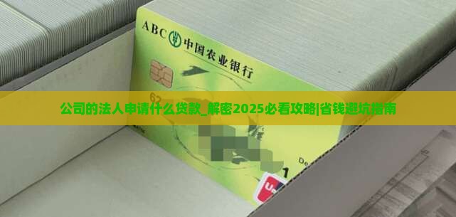 公司的法人申请什么贷款