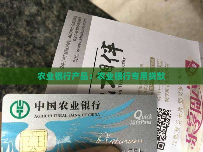 农业银行专用贷款