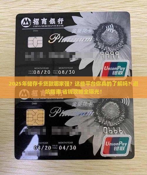 储存卡贷款有哪些平台