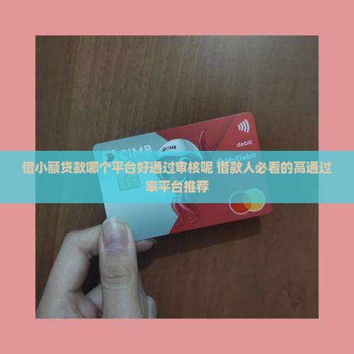 借小额贷款哪个平台好通过审核呢