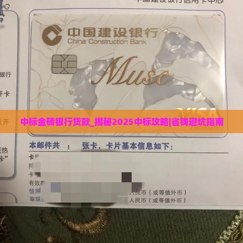 中标金砖银行贷款