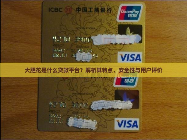 大胆花是什么贷款平台