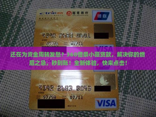 360借条小薇贷款