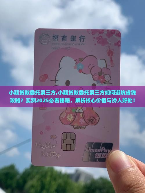 小额贷款委托第三方