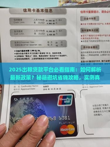 出粮贷款平台