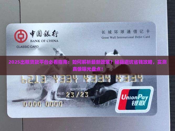 出粮贷款平台