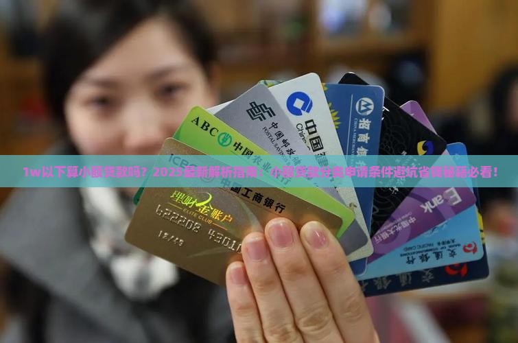 1w以下算小额贷款吗