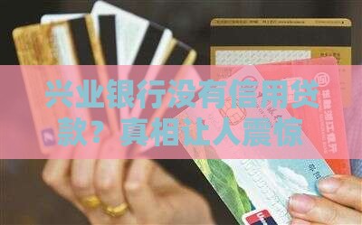 兴业银行没有信用贷款