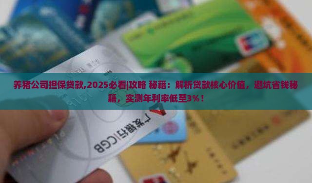 养猪公司担保贷款
