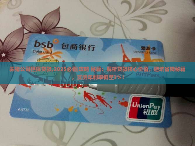 养猪公司担保贷款