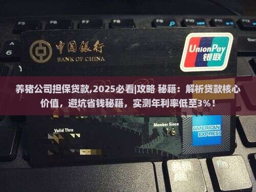 养猪公司担保贷款