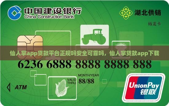 仙人掌app贷款平台正规吗