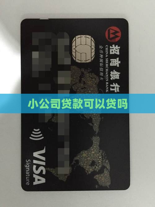 小公司贷款可以贷吗