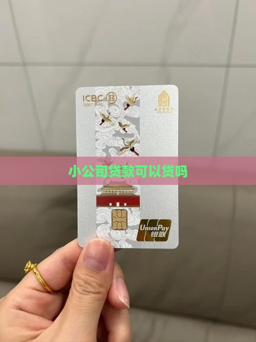 小公司贷款可以贷吗