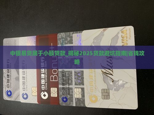 中银易贷属于小额贷款