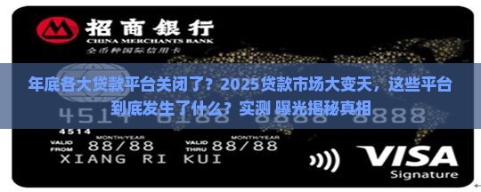 年底各大贷款平台关闭了