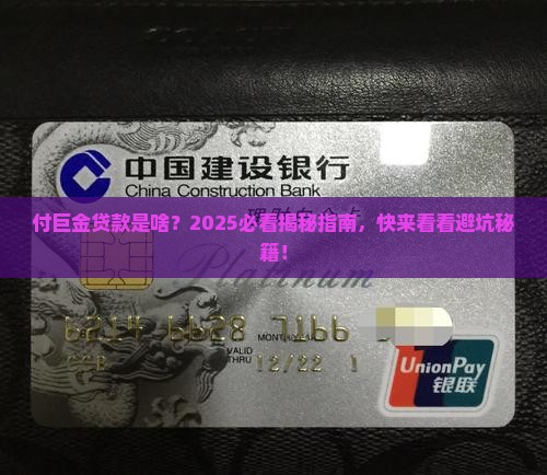 付巨金是什么平台的贷款