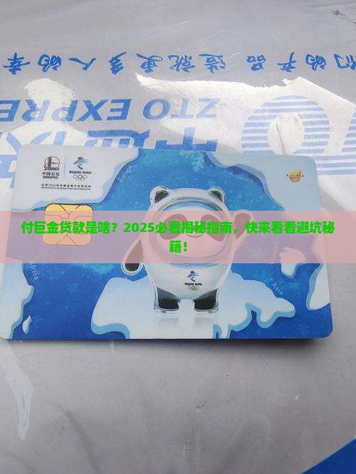 付巨金是什么平台的贷款