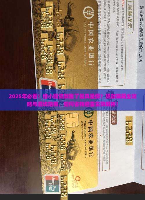 借小额贷款跑了 借小额贷款跑了