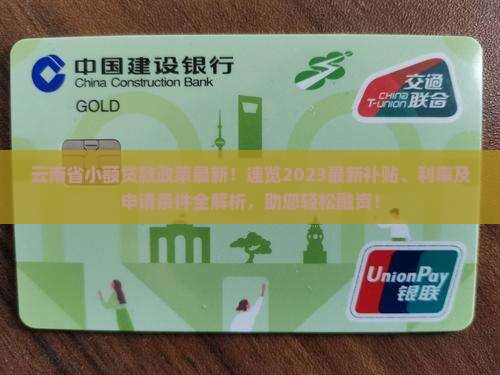 云南省小额贷款政策最新
