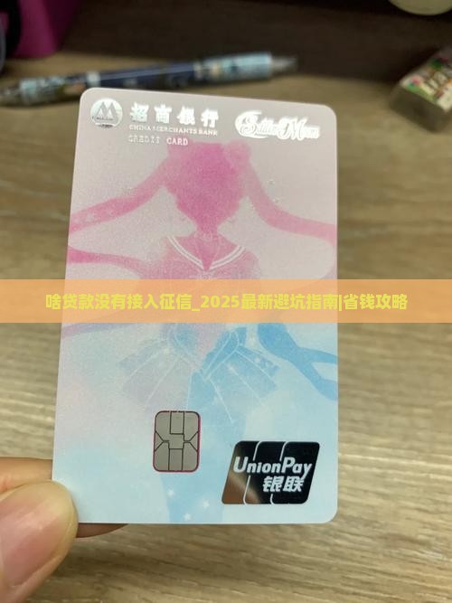 啥贷款没有接入征信