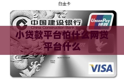 小贷款平台怕什么