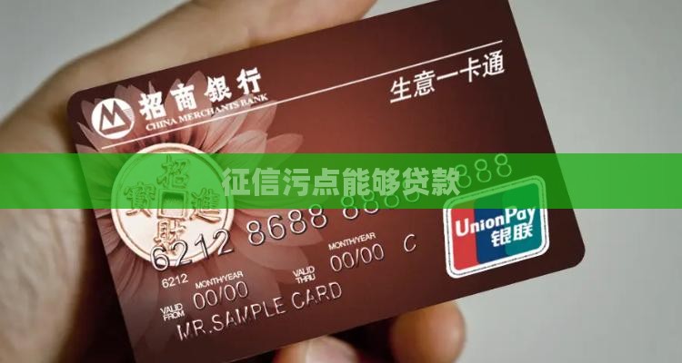 征信污点能够贷款