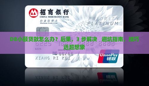 d8小额贷款