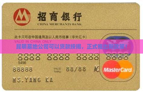 墓地公司可以贷款吗