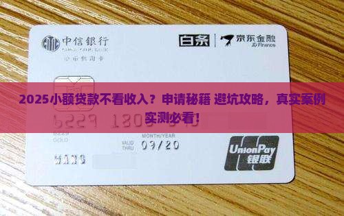 小额贷款不看收入