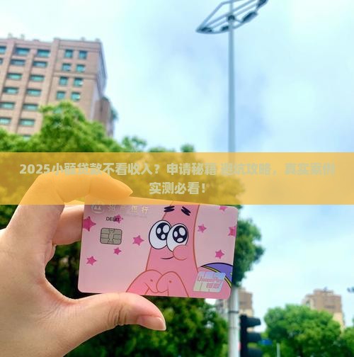 小额贷款不看收入