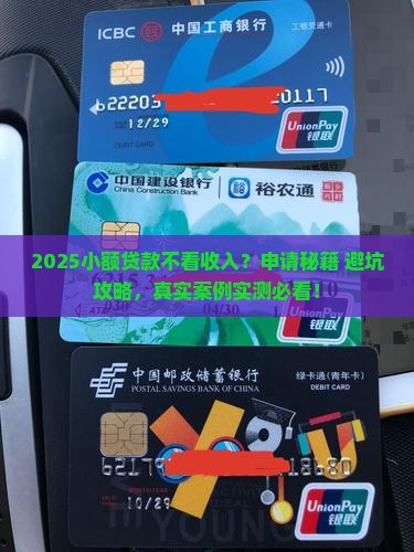 小额贷款不看收入