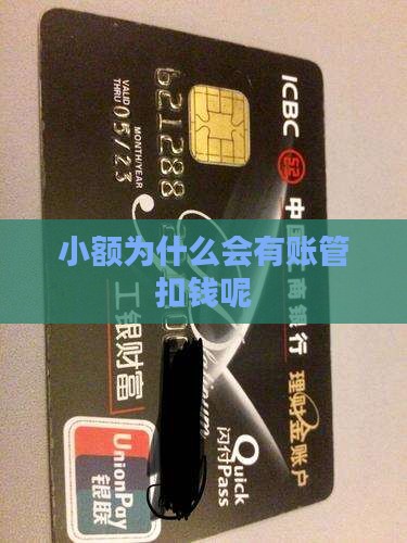 为什么有小额贷款扣钱呢