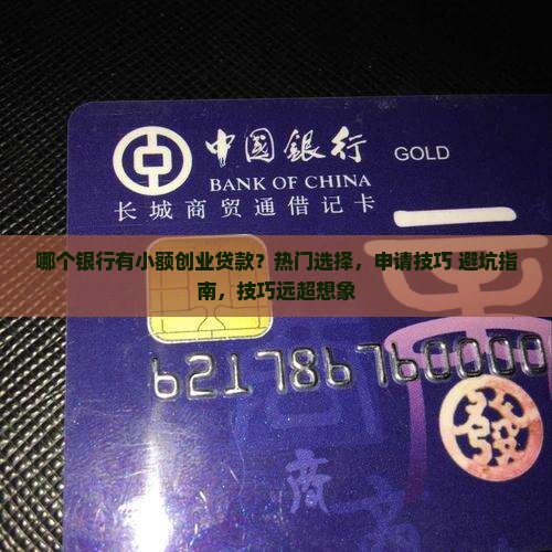 哪个银行有小额创业贷款