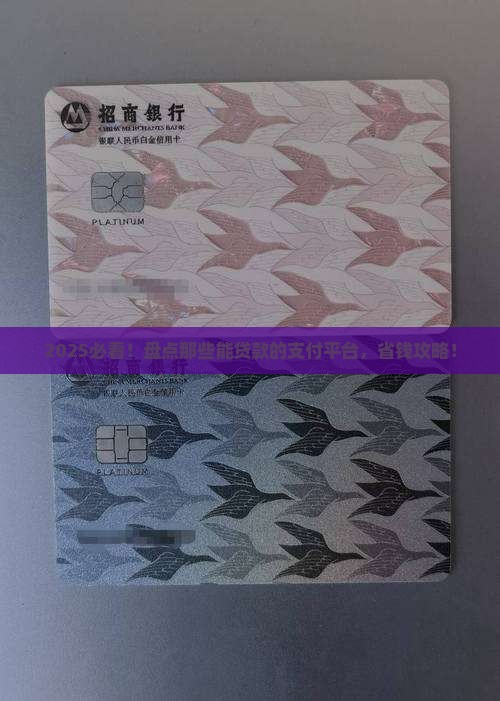 什么支付平台可以贷款的