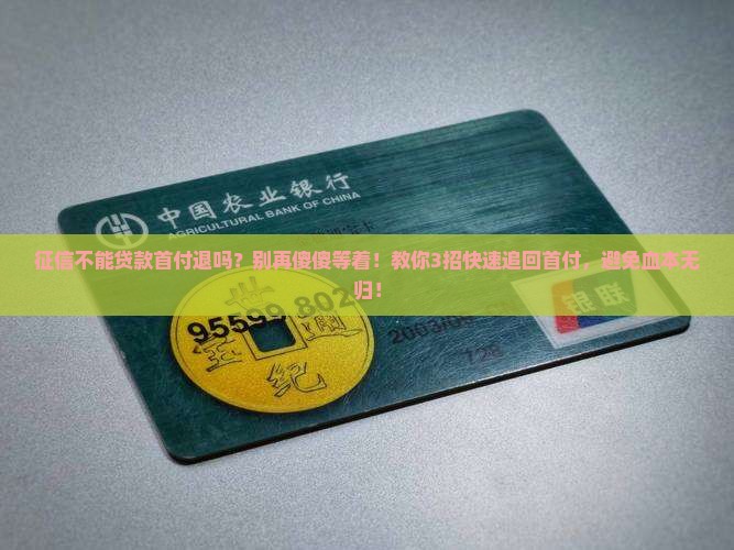 征信不能贷款首付退吗