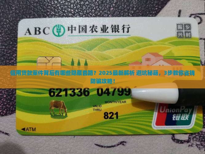 信用贷款案件