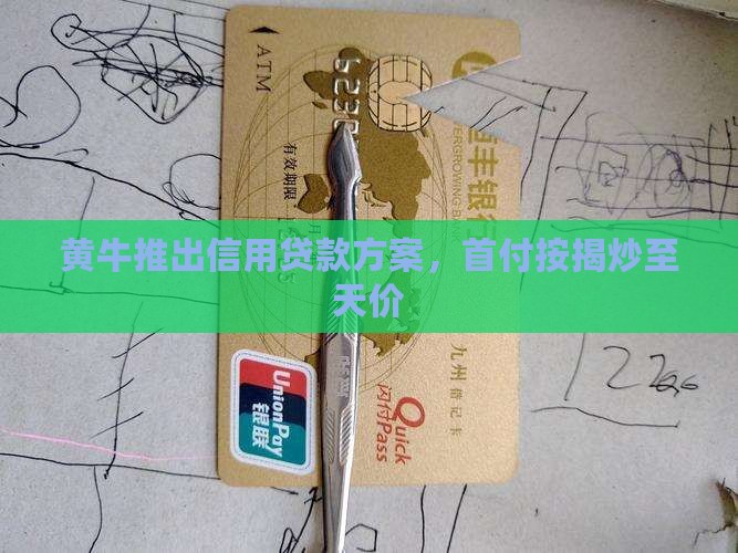 黄牛推出信用贷款方案，首付按揭炒至天价