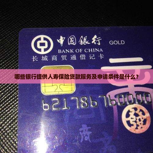 哪些银行提供人寿保险贷款服务及申请条件是什么？