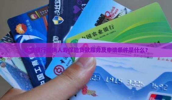哪些银行提供人寿保险贷款服务及申请条件是什么？