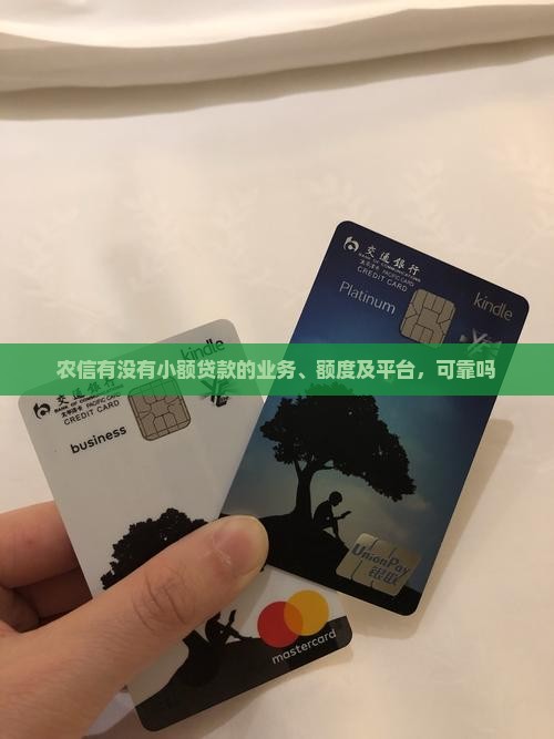 农信有没有小额贷款的业务、额度及平台，可靠吗