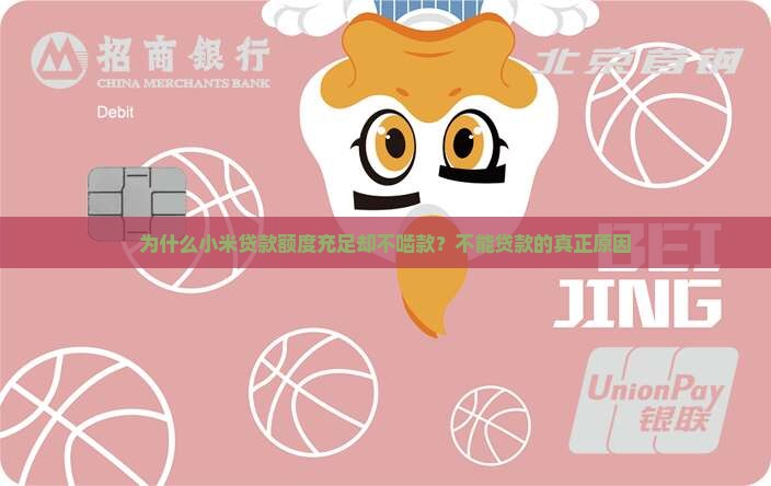 为什么小米贷款额度充足却不啮款？不能贷款的真正原因