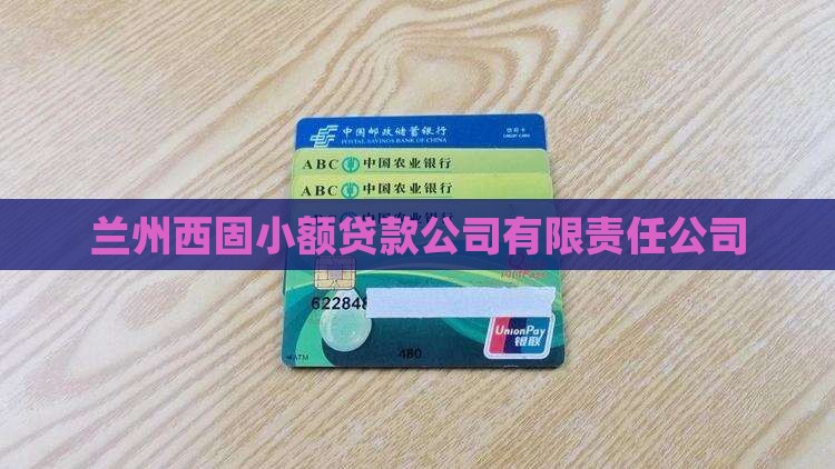 兰州西固小额贷款公司有限责任公司