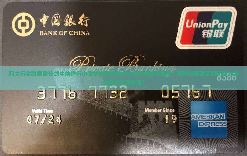 四大行金融春雷计划中的建行小微贷如何解决中小微企业融资难题？限时特惠政策如何助力企业抓住发展机遇？