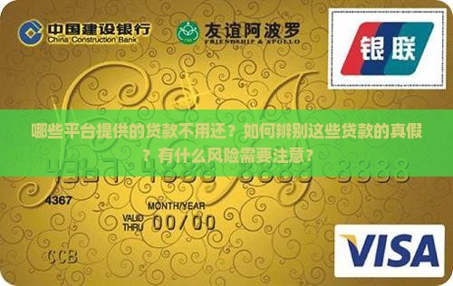 哪些平台提供的贷款不用还？如何辨别这些贷款的真假？有什么风险需要注意？