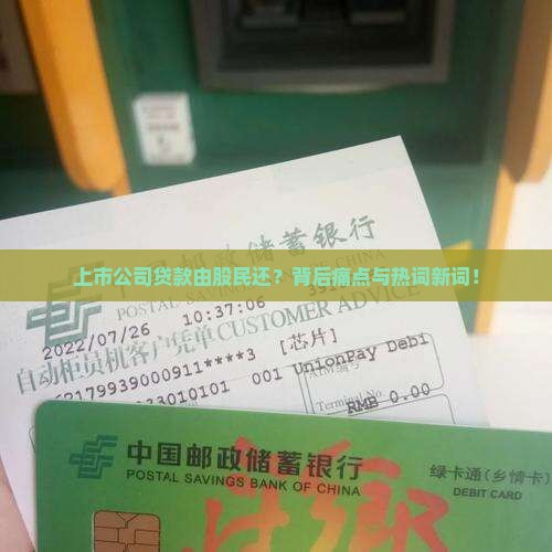 上市公司贷款由股民还？背后痛点与热词新词！