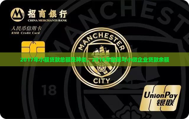 2017年小额贷款总额及种类，2018年政策与小微企业贷款余额