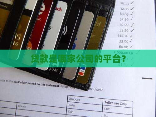 贷款是哪家公司的平台？
