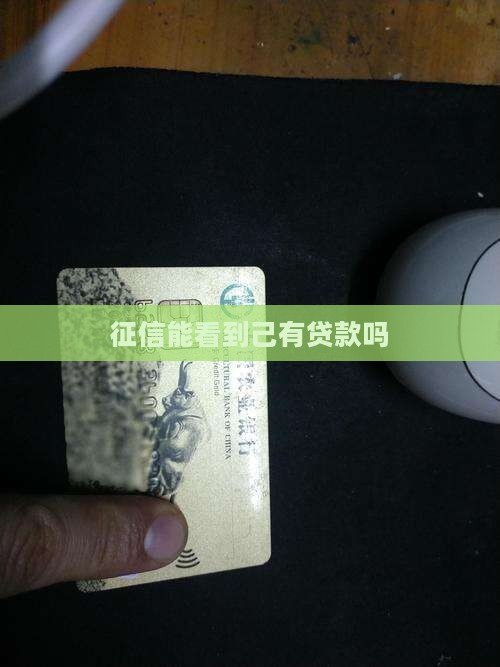 征信能看到己有贷款吗