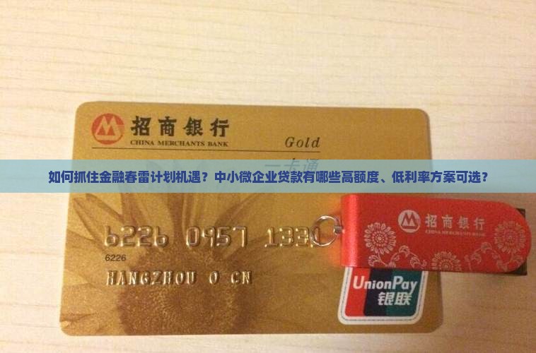 如何抓住金融春雷计划机遇？中小微企业贷款有哪些高额度、低利率方案可选？
